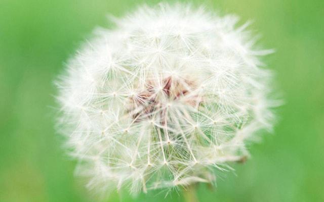 风水局可以随便动土吗