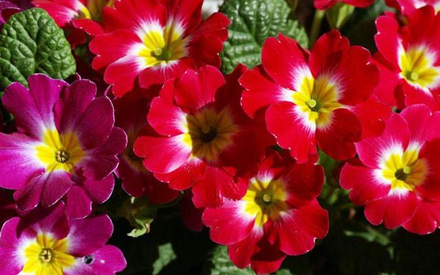 家里不顺是风水问题吗