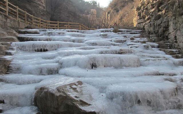 天生的演员 这些生肖全身都是戏