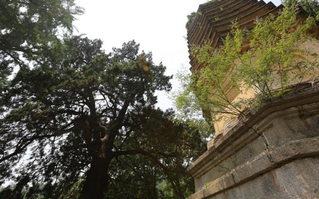 雪中送炭是这些生肖的交友之道 雪中送炭是这些生肖的交友之道