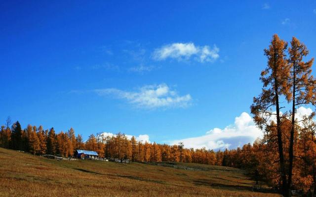 精明生肖 能看破骗局的生肖女