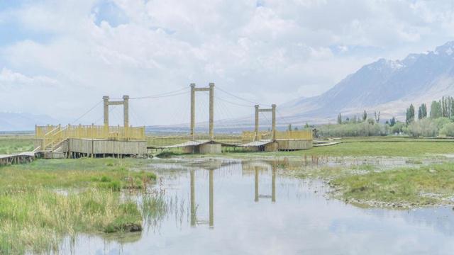 什么属相旺兔子的财运 狗猪马最合财