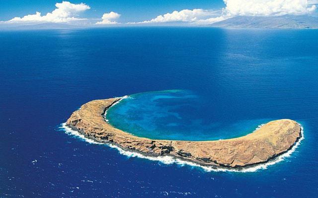 什么属相的人八字硬命好 什么属相的人八字硬命好