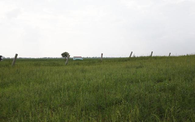 邻居大声说话影响风水吗