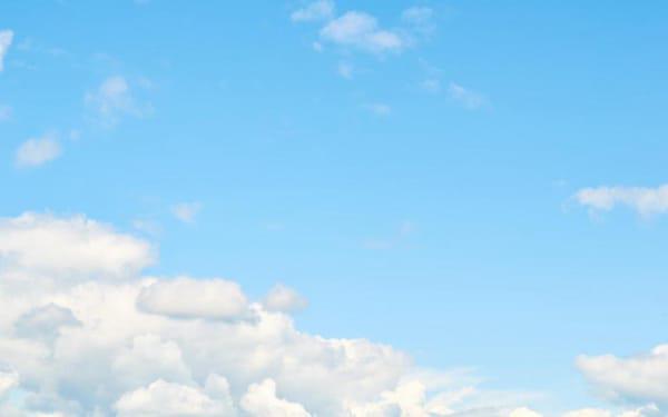 乐感不佳 但这些生肖仍然爱音乐