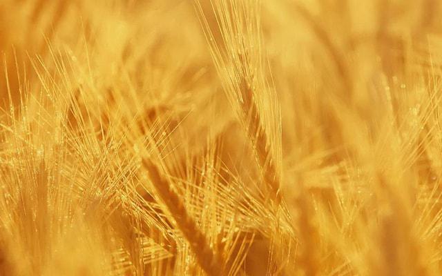 新派八字命理格局法则 新派八字命理格局法则