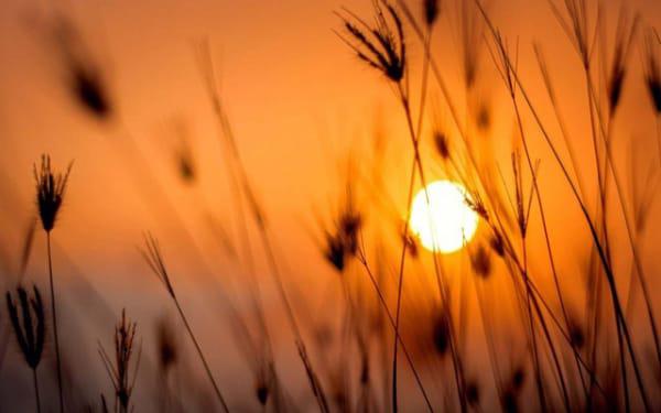 厨房适合风水帘图案吗 厨房适合风水帘图案吗