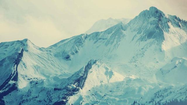 十二生肖会在中年时期取得怎样的成就