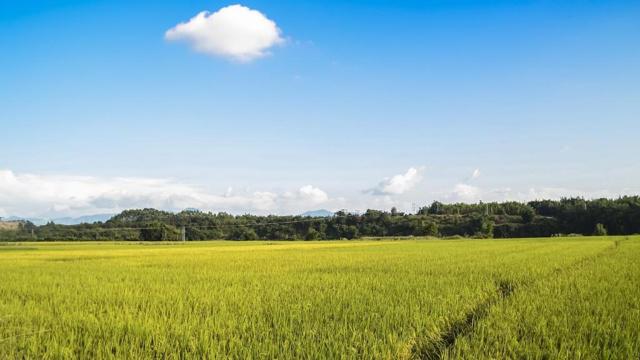 男命什么八字讲感情