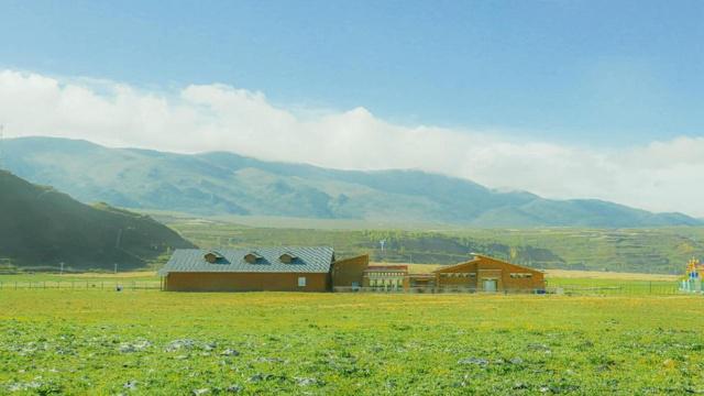 阳台可种葡萄风水吗 阳台可种葡萄风水吗