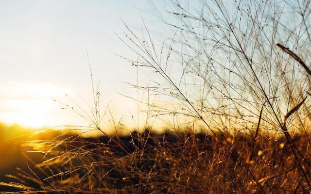八字命局天生就是农民 八字命局天生就是农民