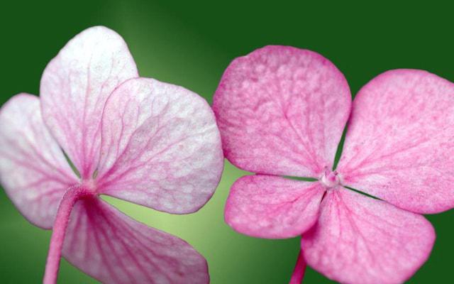 犯月是明犯严重还是暗犯严重