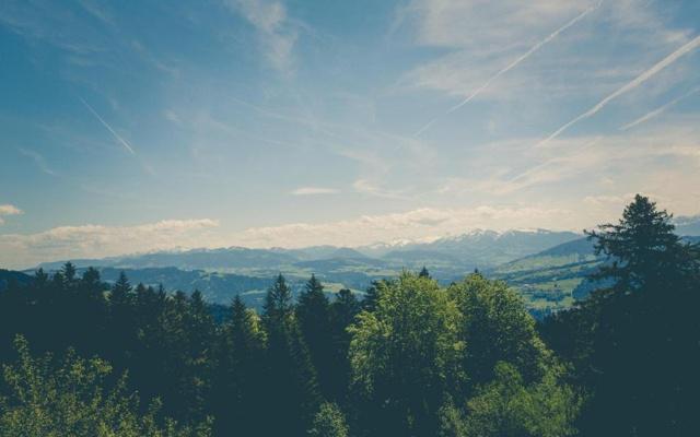 不善伪装 这些生肖一说谎话就磕巴 不善伪装 这些生肖一说谎话就磕巴