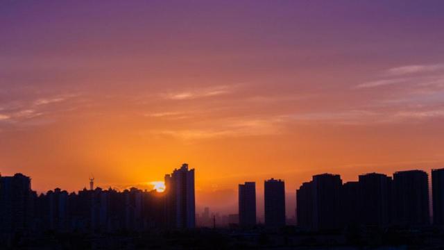 摇钱树算是风水摆件吗 摇钱树算是风水摆件吗