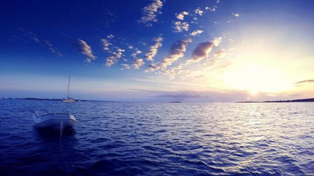 婚后老公疼爱的生肖女 天生富贵命 婚后老公疼爱的生肖女 天生富贵命