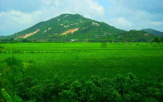 周易八字命理实战解析 周易八字命理实战解析