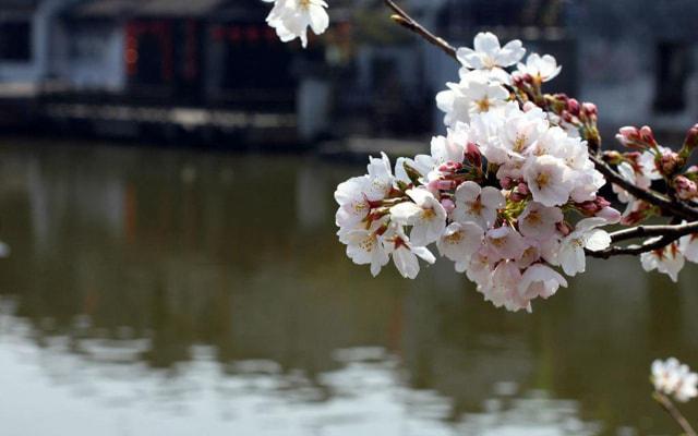 八字命理中哪样的是天罗地网