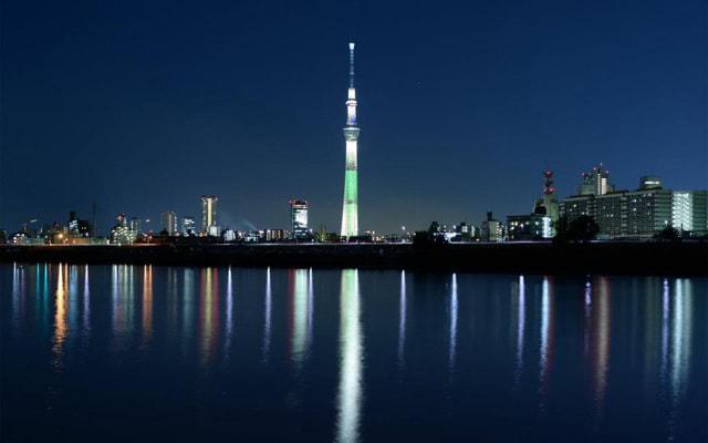 总制定计划却不能落实的生肖 总制定计划却不能落实的生肖