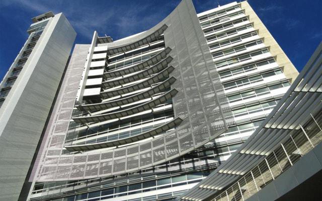 风水蟾蜍能放在卧室吗