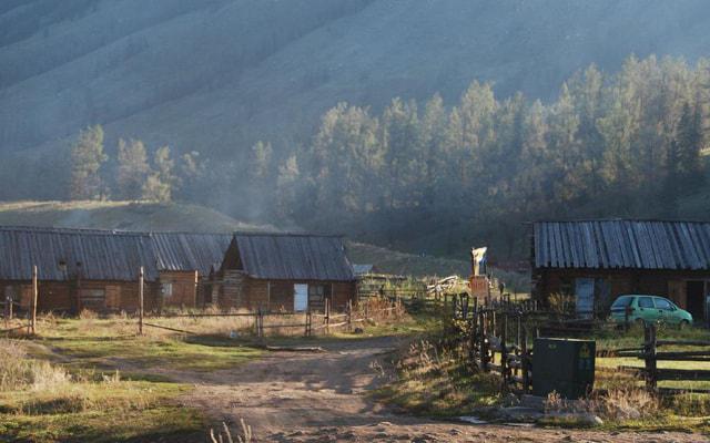 容易让男人当宝贝宠的生肖女