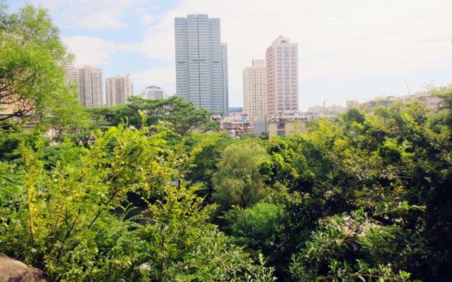 抱负远大 目光不会局限于当下的生肖 抱负远大 目光不会局限于当下的生肖