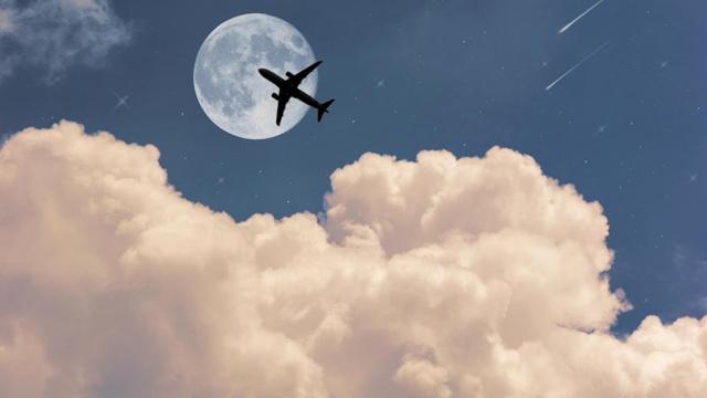 风水种薰衣草吉利吗 风水种薰衣草吉利吗