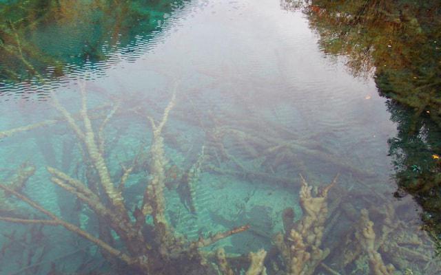 专业风水罗盘注册吗