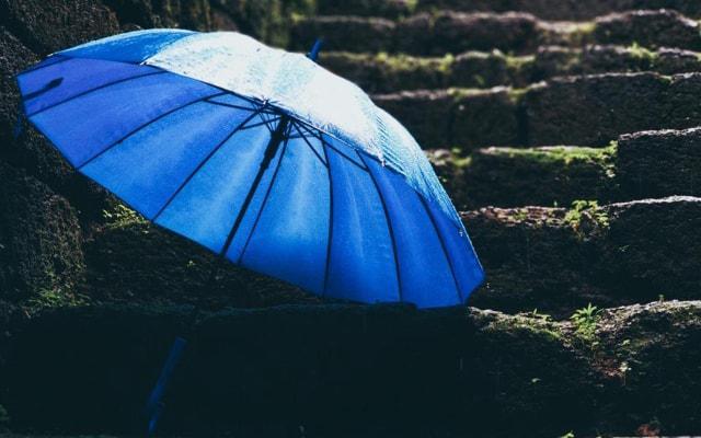 爸爸属鼠妈妈属蛇 孩子属什么比较好