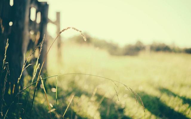 这些生肖看一部韩剧就换一个老公