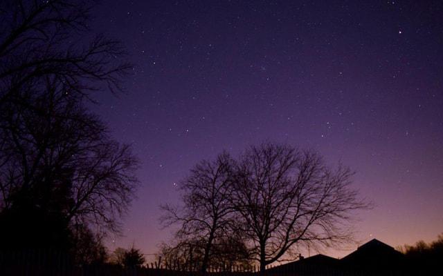 干劲冲天 永不觉疲倦的生肖 干劲冲天 永不觉疲倦的生肖