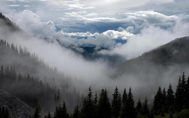 辛巴辛有志八字命理 辛巴辛有志八字命理