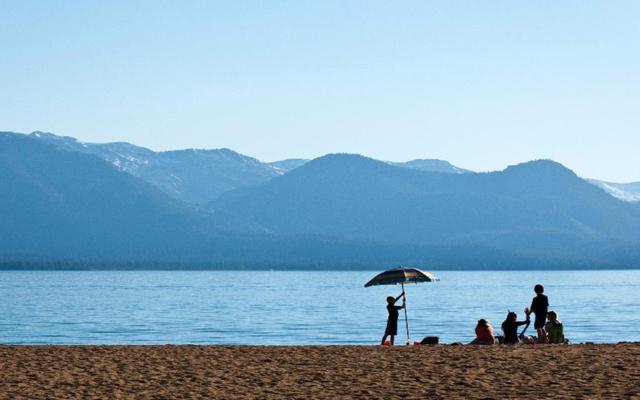 千人一面打一动物 千人一面猜一生肖 千人一面打一动物 千人一面猜一生肖