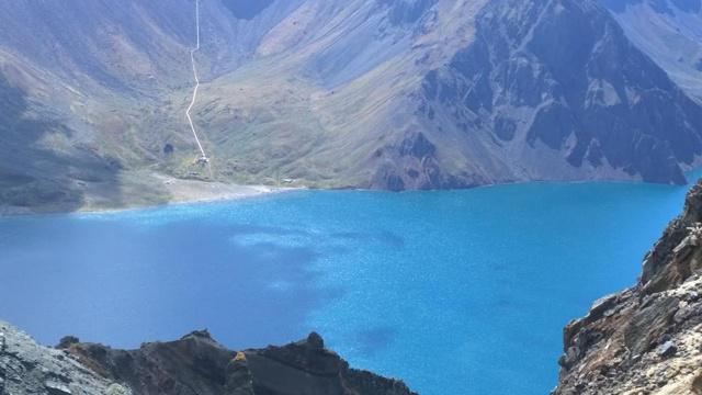 紫玉兰是风水树木吗 紫玉兰是风水树木吗