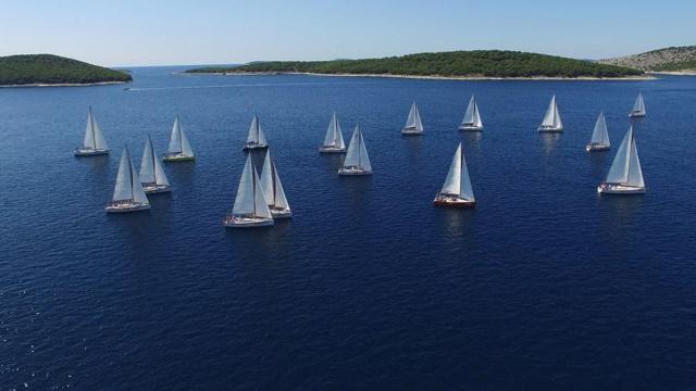 暴腮龙门是什么生肖 生肖猴和生肖龙 暴腮龙门是什么生肖 生肖猴和生肖龙