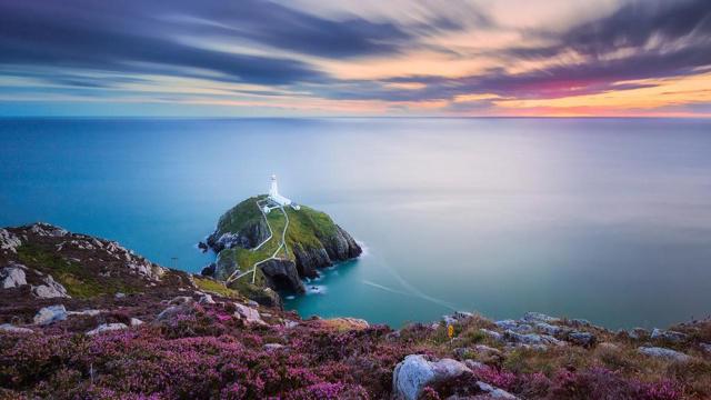 三三两两打一生肖 代表什么 哪个动物