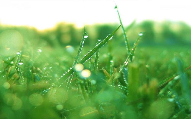 八字命盘相似的命格怎么看