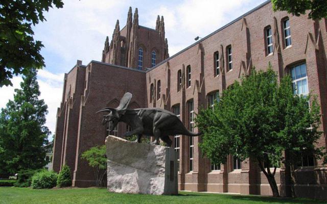 这是什么 脑子里总有一堆疑惑的生肖 这是什么 脑子里总有一堆疑惑的生肖