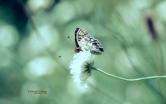 阁楼渗水影响风水吗