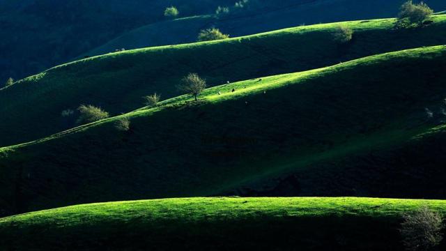 会坚持每天早起锻炼的生肖 会坚持每天早起锻炼的生肖