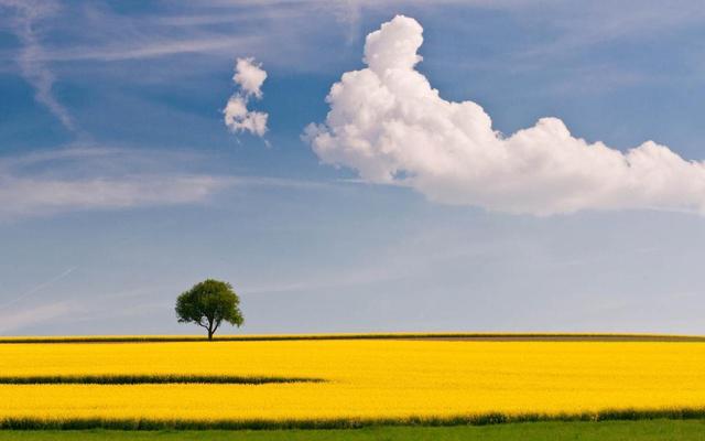 镜子可以挡住风水吗 镜子可以挡住风水吗