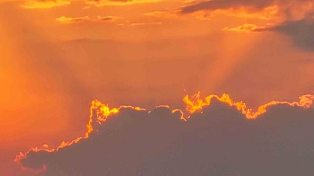 属猪的婚姻八字命理详解