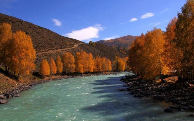 天生适合创业的生肖 不想发财都很难! 天生适合创业的生肖 不想发财都很难!