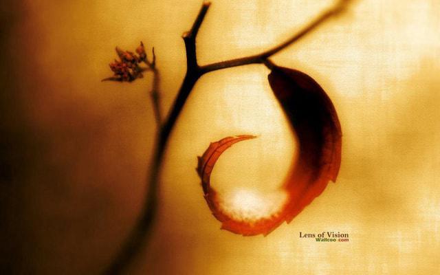 命盘上八字怎么排的 命盘上八字怎么排的