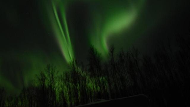 严浩翔八字命理分析 严浩翔八字命理分析