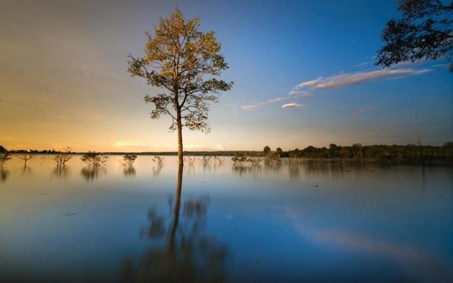 盲派命理看八字的方法基础 盲派命理看八字的方法基础