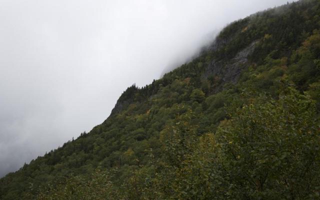 乐安有风水器物店吗 乐安有风水器物店吗
