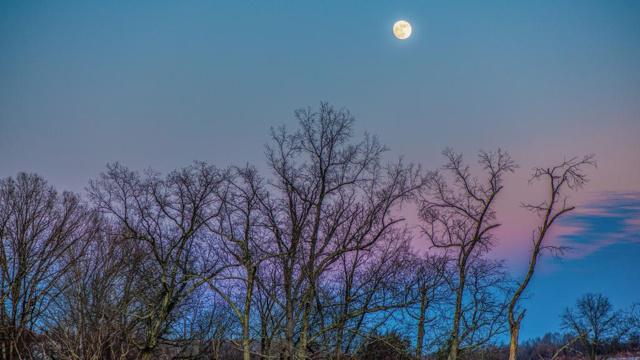 怎么用神煞看八字命理 怎么用神煞看八字命理