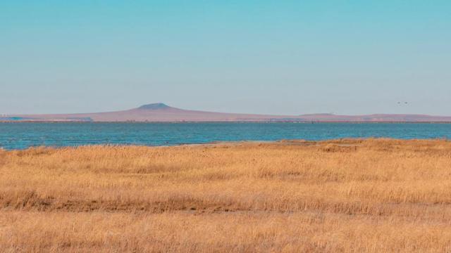 十二生肖为什么经常要去旅行