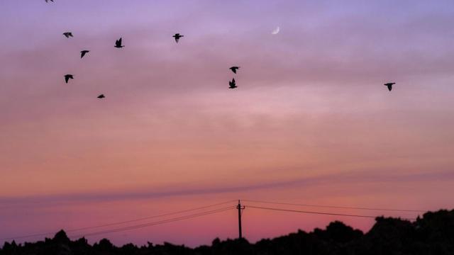 健身后必须在朋友圈秀身材的生肖