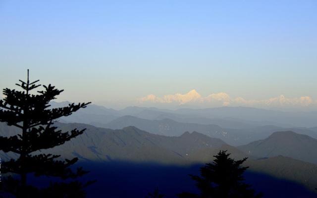 有成功机遇的生肖女 事业成就不比男人差